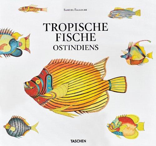 Tropische Fische Ostindiens