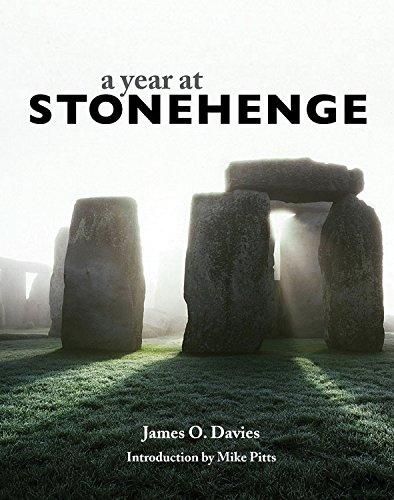 Year at Stonehenge