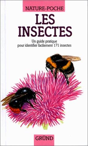 Insectes