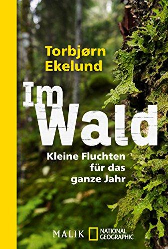 Im Wald: Kleine Fluchten für das ganze Jahr