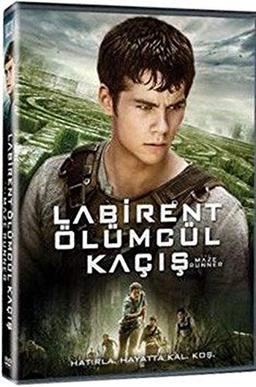 Labirent: Ölümcül Kaçış (DVD)