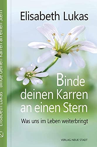 Binde deinen Karren an einen Stern: Was uns im Leben weiterbringt (LebensWert)