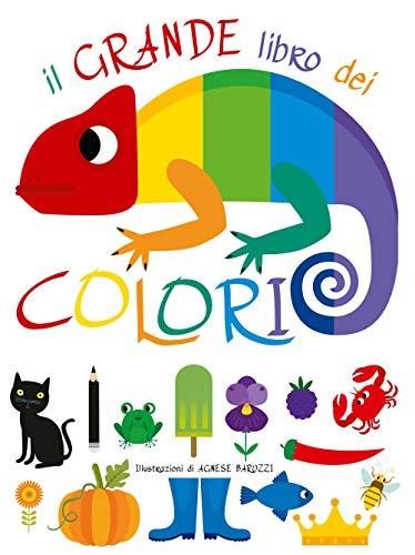 Il grande libro dei colori. Ediz. a colori (Ragazzi 0-5)