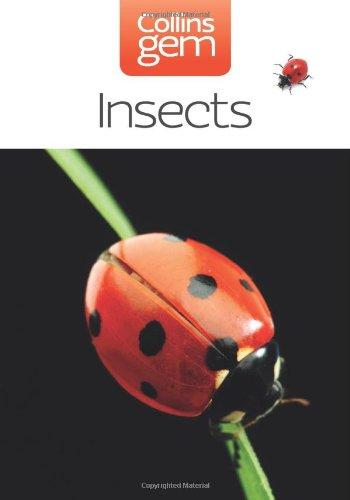 Insects (Collins Gem)