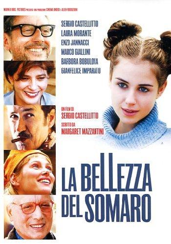 La bellezza del somaro [IT Import]