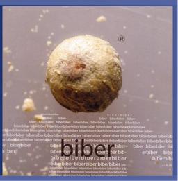 Biber