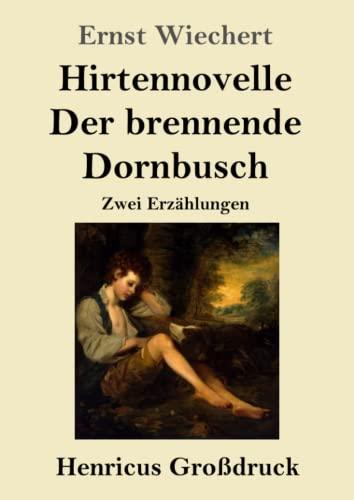 Hirtennovelle / Der brennende Dornbusch (Großdruck): Zwei Erzählungen