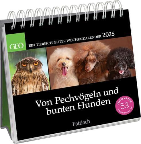 Postkartenkalender 2025: Von Pechvögeln und bunten Hunden: Ein tierisch guter Wochenkalender | Zum Aufstellen, Tischkalender mit Spiralbindung und 53 Postkarten zum Heraustrennen