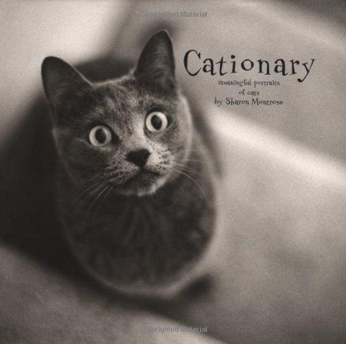 Cationary: Meaningful Portraits of Cats