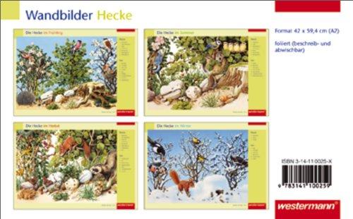 Wandbilder: Die Hecke im Frühling, Sommer, Herbst, Winter