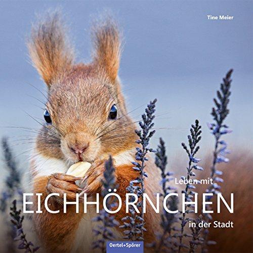 Leben mit Eichhörnchen in der Stadt