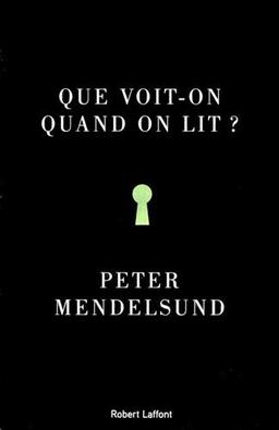 Que voit-on quand on lit ? : une phénoménologie avec illustrations