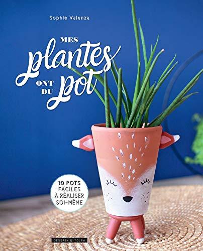 Mes plantes ont du pot : 10 pots faciles à réaliser soi-même