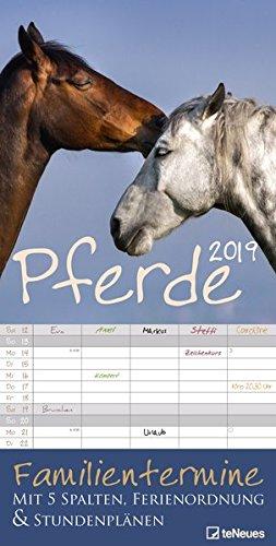 Pferde 2019 - Familienplaner, Spaltenkalender, Tierkalender - 23 x 45,5 cm