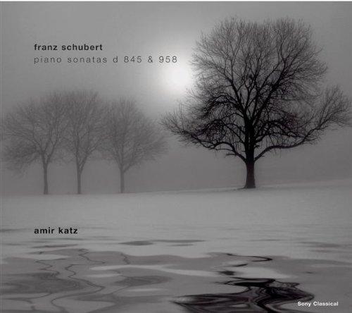 Music for You: Klaviersonaten D 845 & D 958