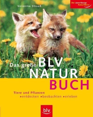 Das große BLV Naturbuch: Tiere und Pflanzen entdecken, beobachen, erleben