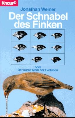 Der Schnabel des Finken. Oder Der kurze Atem der Evolution.