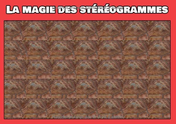 La magie des stéréogrammes: Images en relief