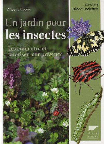 Un jardin pour les insectes : les connaître et favoriser leur présence