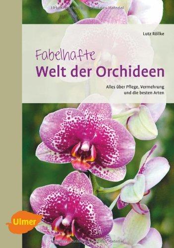 Fabelhafte Welt der Orchideen: Alles über Pflege, Vermehrung und die besten Arten