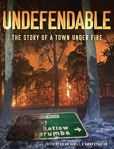 Undefendable: The Story of a Town Under Fire