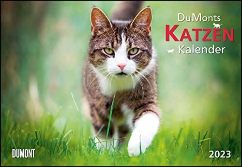 DUMONTS Katzenkalender 2023 - Broschürenkalender - Wandkalender - mit Schulferienterminen - Format 42 x 29 cm: mit kurzweiligen Katzengeschichten