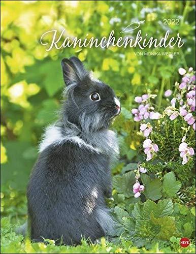 Kaninchenkinder Posterkalender 2022 von Monika Wegler - niedlicher Tier-Wandkalender mit vielen Fotos und lustigen Mini-Geschichten - mit Monatskalendarium - 34 x 44 cm