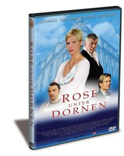 Rose unter Dornen