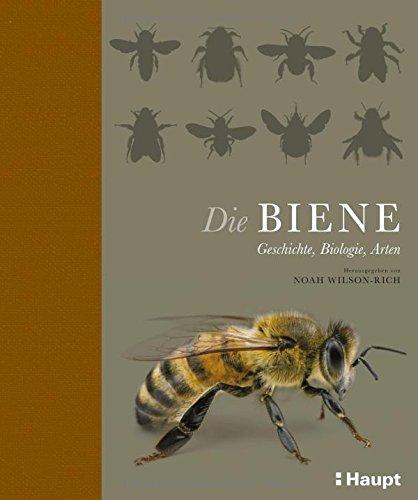 Die Biene: Geschichte, Biologie, Arten