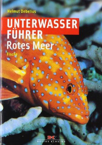 Unterwasserführer Rotes Meer - Fische