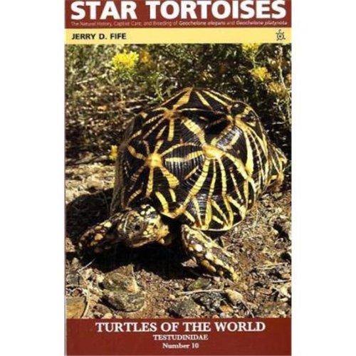 Star Tortoises