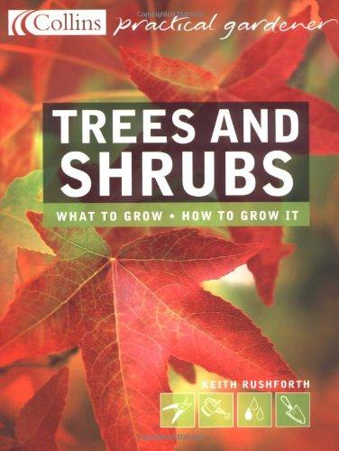 Trees and Shrubs: The Essential and Definitive Guide (Collins Practical Gardener S.)