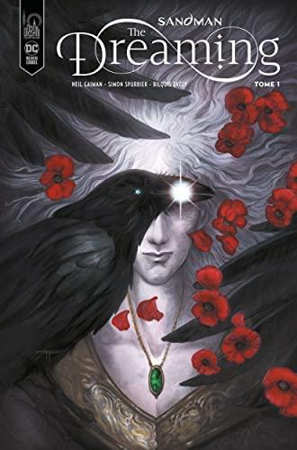 Sandman : the dreaming. Vol. 1