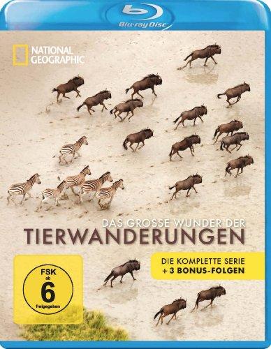 Das große Wunder der Tierwanderungen - National Geographic [Blu-ray]