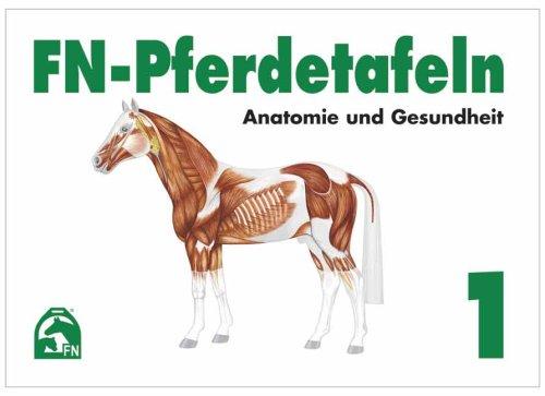 FN-Pferdetafeln Set 1: Enthält Tafel 1 - 13: Fuer Pferde giftige Pflanzen - Lage erkennbarer Veraenderungen - Farben und Abzeichen - Das Exterieur - ... Die Hufe - Der Kreislauf - Die Atmungsorgane