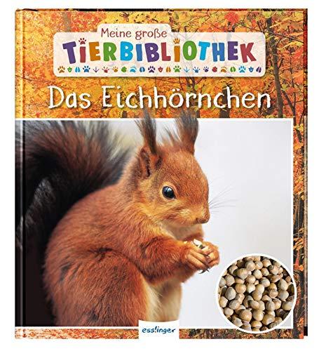 Das Eichhörnchen (Meine große Tierbibliothek)