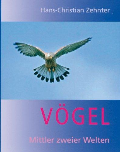 Vögel: Mittler zweier Welten