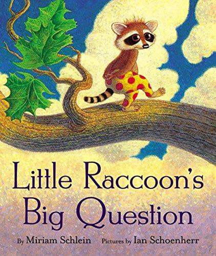 Little Raccoon's Big Question