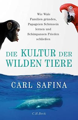 Die Kultur der wilden Tiere: Wie Wale Familien gründen, Papageien Schönsein lernen und Schimpansen Frieden schließen