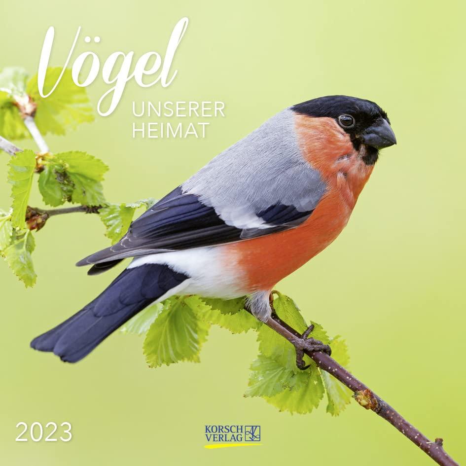 Vögel 2023: Broschürenkalender mit Ferienterminen und Bildern unserer heimischen Vogelwelt. Format: 30 x 30 cm