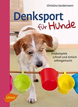 Denksport für Hunde: Knobelspiele schnell und einfach selbstgemacht