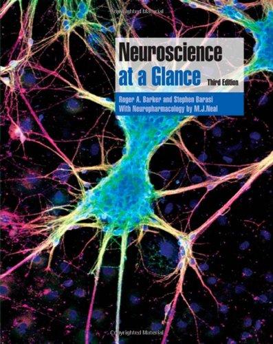 Neuroscience at a Glance (At a Glance (Blackwell))