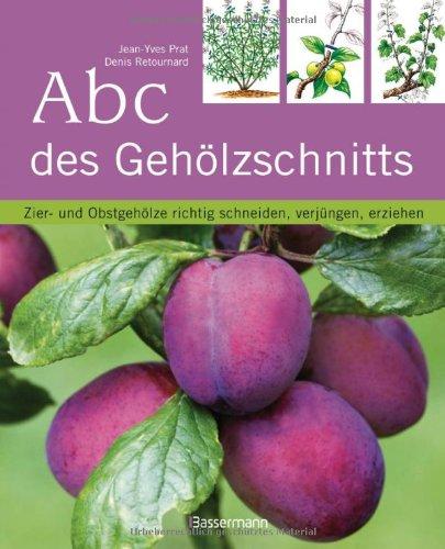 Abc des Gehölzschnitts: Zier- und Obstgehölze richtig schneiden, verjüngen, erziehen