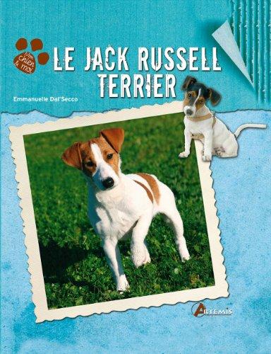 Le jack russell terrier