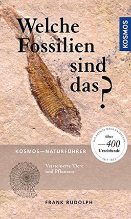 Welche Fossilien sind das?