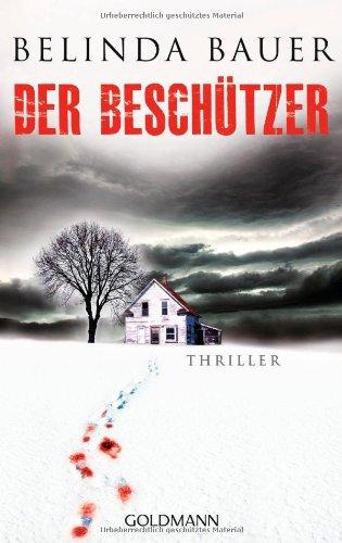 Der Beschützer: Psychothriller