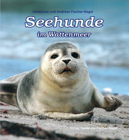 Seehunde im Wattenmeer