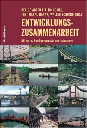 Entwicklungszusammenarbeit: Akteure, Handlungsmuster und Interessen