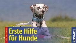 Erste Hilfe für Hunde: für unterwegs