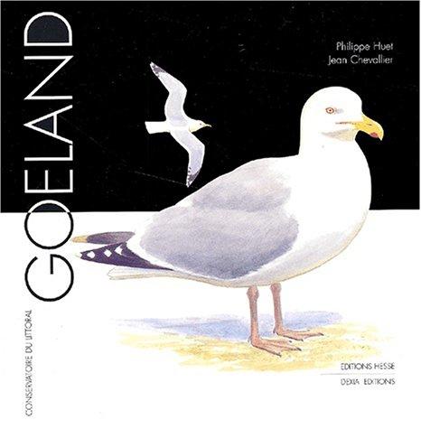 Goéland